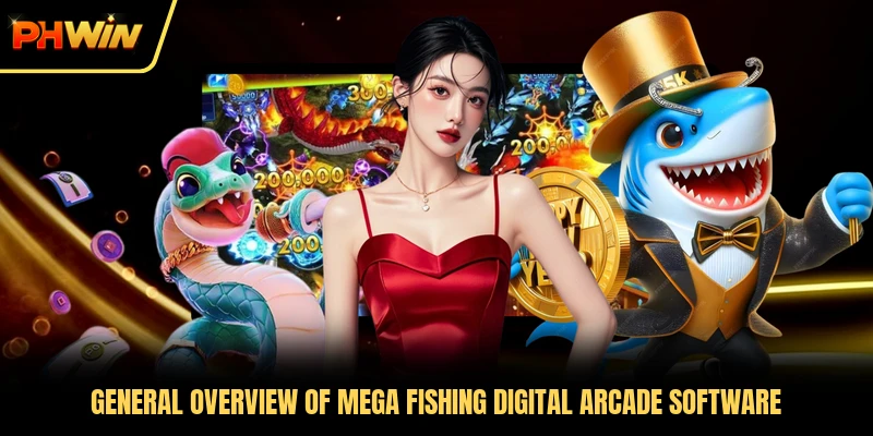 General overview of Mega Fishing digital arcade software