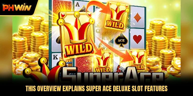 This overview explains Super Ace Deluxe slot features